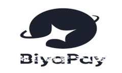 如何查看TP钱包中的隐藏资
