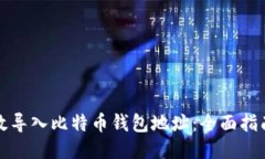 如何高效导入比特币钱包