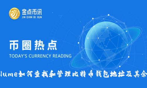 volume如何查找和管理比特币钱包地址及其余额