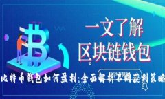 比特币钱包如何盈利：全面解析不同获利策略
