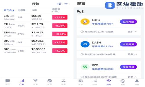 如何将TP钱包导入币安链：详细步骤与实用指南