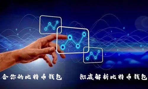 如何选择和使用适合你的比特币钱包——彻底解析比特币钱包的种类与使用方法