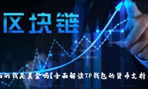 TP钱包里面的钱是美金吗？全面解读TP钱包的货币支持与充值方式
