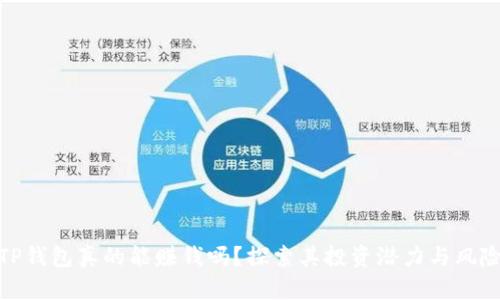 TP钱包真的能赚钱吗？探索其投资潜力与风险