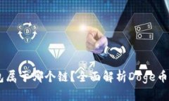 Doge币TP钱包属于哪个链？全面解析Doge币及其钱包
