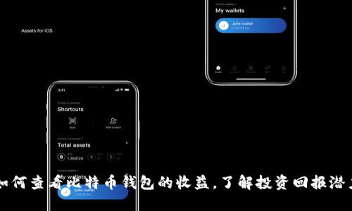 如何查看比特币钱包的收益，了解投资回报潜力
