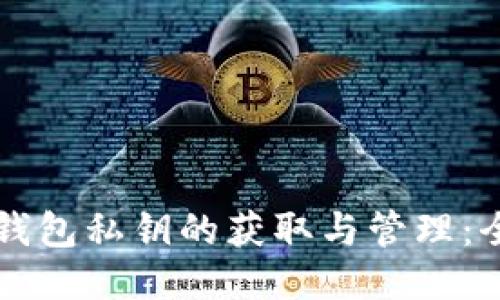 区块链钱包私钥的获取与管理：全面指南