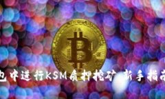 如何在TP钱包中进行KSM质押
