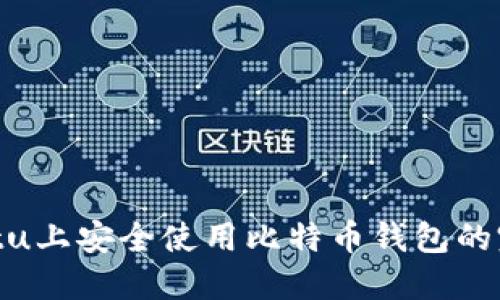 在Ubuntu上安全使用比特币钱包的完整指南