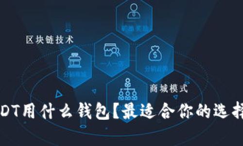存USDT用什么钱包？最适合你的选择推荐