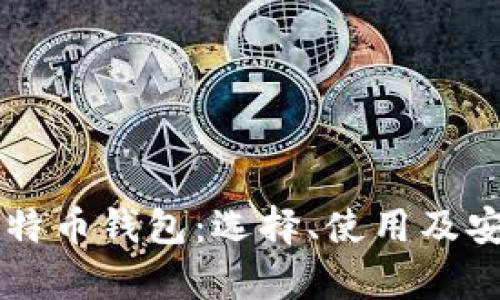 中国的比特币钱包：选择、使用及安全性分析