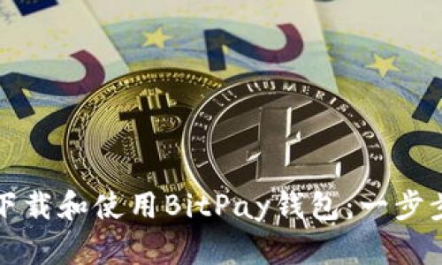 如何下载和使用BitPay钱包：一步步指南