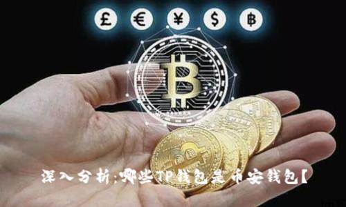 深入分析：哪些TP钱包是币安钱包？