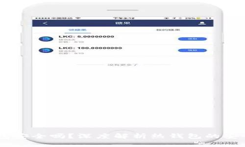 USDT放在热钱包安全吗？深度解析热钱包的安全性和使用建议