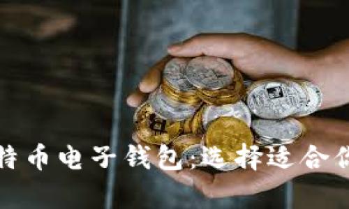 全面分析比特币电子钱包：选择适合你的最佳钱包