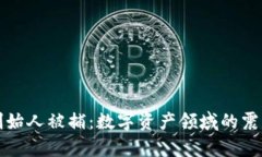 TP钱包创始人被捕：数字资
