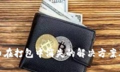 TP钱包提币在打包中消失的