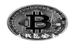 比特币存放在什么钱包安