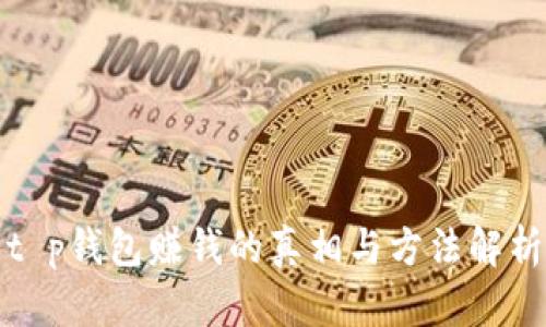 t p钱包赚钱的真相与方法解析