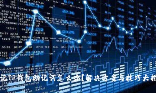 忘记TP钱包助记词怎么办？解决方案与技巧大揭秘