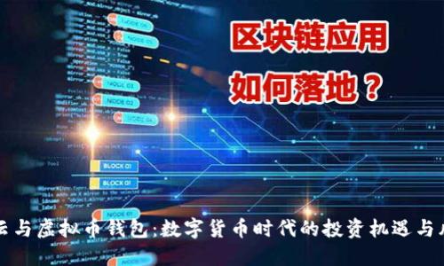 马云与虚拟币钱包：数字货币时代的投资机遇与风险