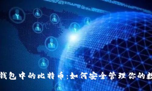 发现冷钱包中的比特币：如何安全管理你的数字资产