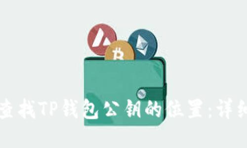 如何查找TP钱包公钥的位置：详细指南