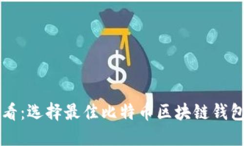 瑞典用户必看：选择最佳比特币区块链钱包的全面指南