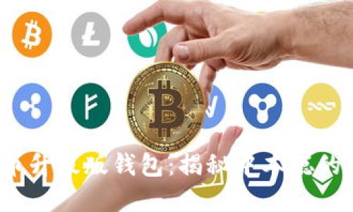 位于 《比特币升级版钱包：揭秘中本聪的革命性构想》