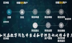 如何在数字钱包中查看和