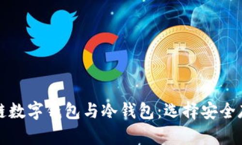全面解析区块链数字钱包与冷钱包：选择安全存储的最佳指南