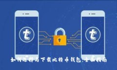 如何选择与下载比特币钱