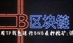 如何使用TP钱包进行BNB质押