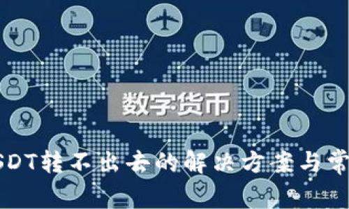 波场钱包USDT转不出去的解决方案与常见问题解析