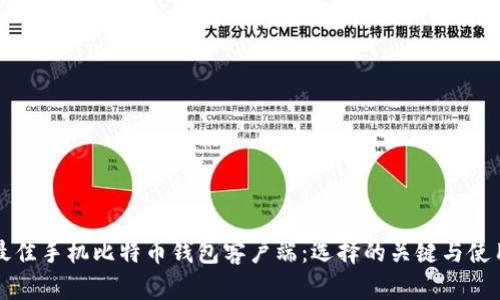 揭秘最佳手机比特币钱包客户端：选择的关键与使用指南