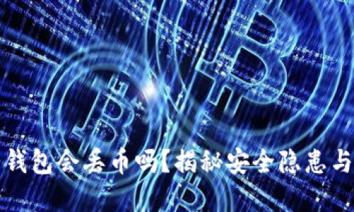 虚拟货币钱包会丢币吗？揭秘安全隐患与防护措施