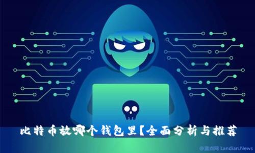 比特币放哪个钱包里？全面分析与推荐