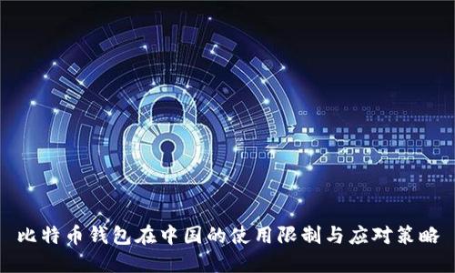 比特币钱包在中国的使用限制与应对策略