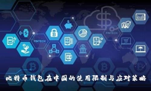 比特币钱包在中国的使用限制与应对策略