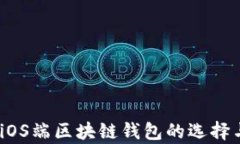全面解析：iOS端区块链钱