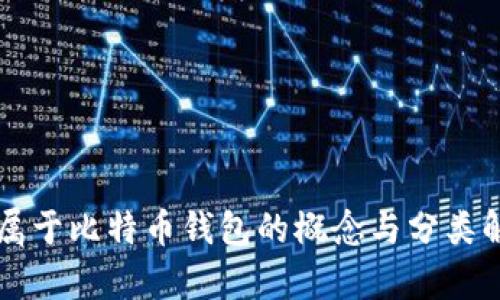 不属于比特币钱包的概念与分类解析