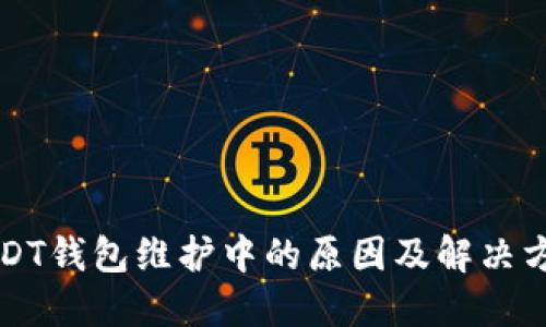 USDT钱包维护中的原因及解决方案