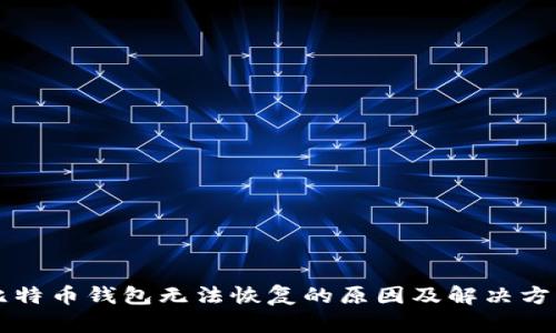 闪电比特币钱包无法恢复的原因及解决方案分析