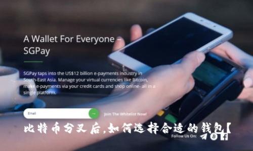 比特币分叉后，如何选择合适的钱包？