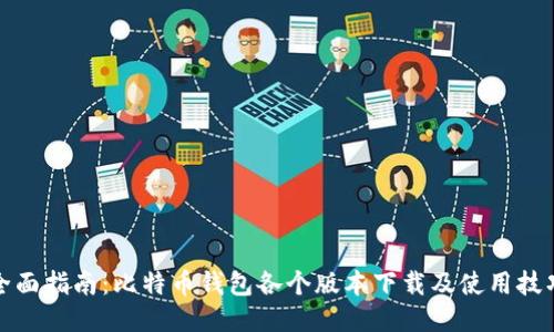 全面指南：比特币钱包各个版本下载及使用技巧