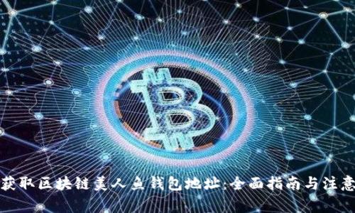 如何获取区块链美人鱼钱包地址：全面指南与注意事项