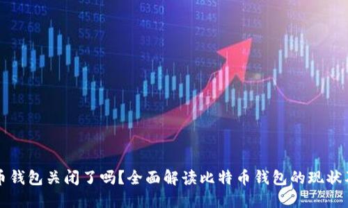 比特币钱包关闭了吗？全面解读比特币钱包的现状及未来