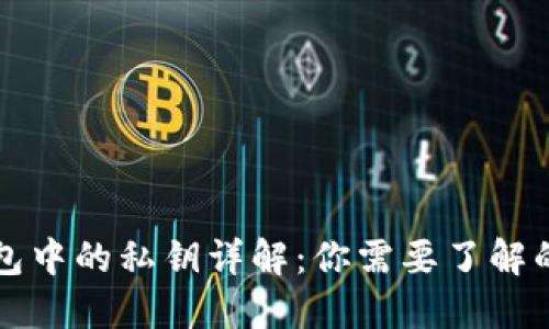 区块链钱包中的私钥详解：你需要了解的基本知识