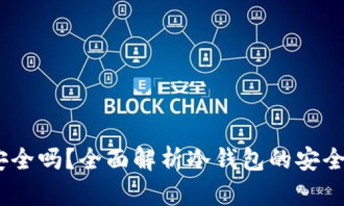 USDT冷钱包安全吗？全面解析冷钱包的安全性与使用指南