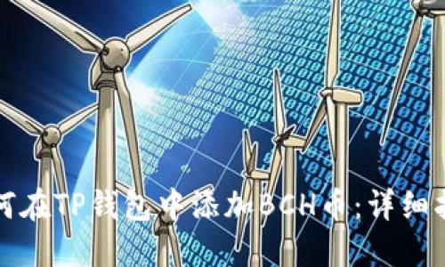如何在TP钱包中添加BCH币：详细指南